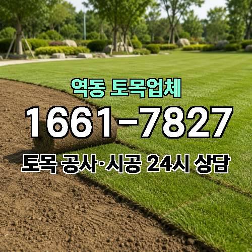 게시판 이미지 413