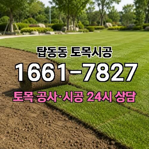 게시판 이미지 489