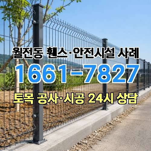 게시판 이미지 2264
