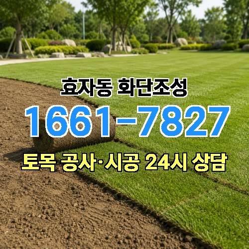 게시판 이미지 255