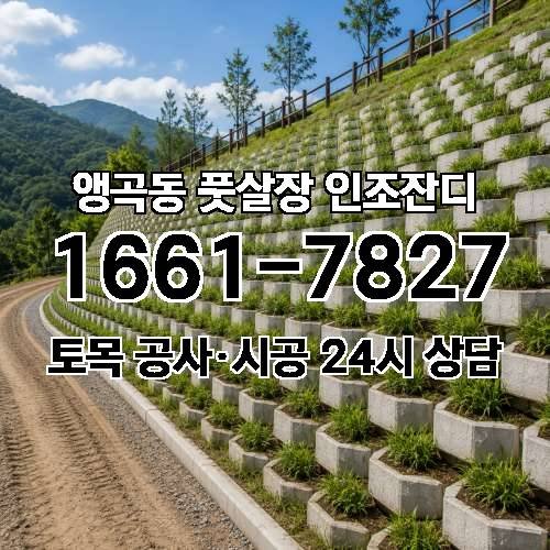 게시판 이미지 1541