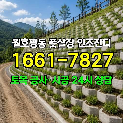 게시판 이미지 34