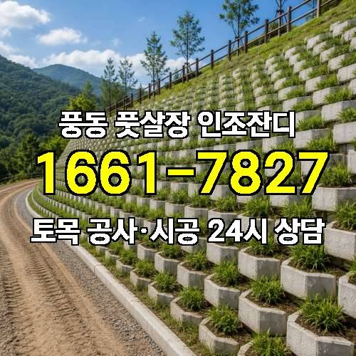 게시판 이미지 366
