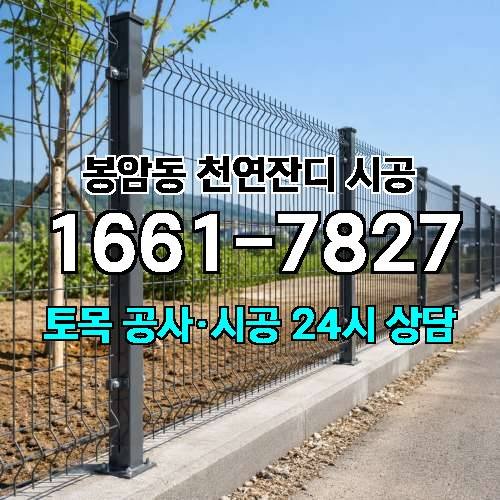 게시판 이미지 1430