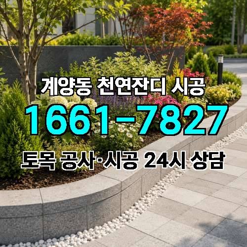 게시판 이미지 1653