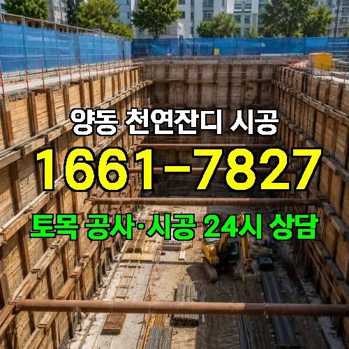 게시판 이미지 2247