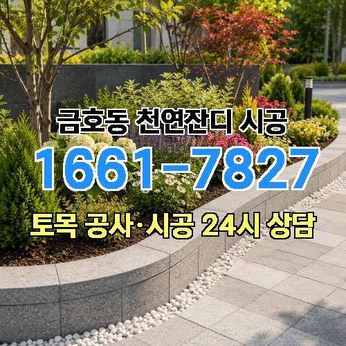 게시판 이미지 2496