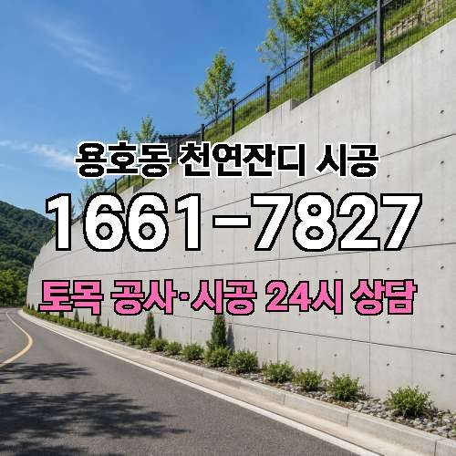 게시판 이미지 2599