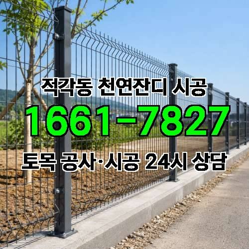 게시판 이미지 266