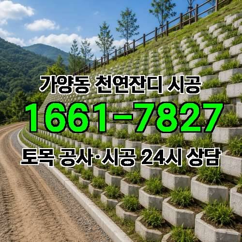 게시판 이미지 2922