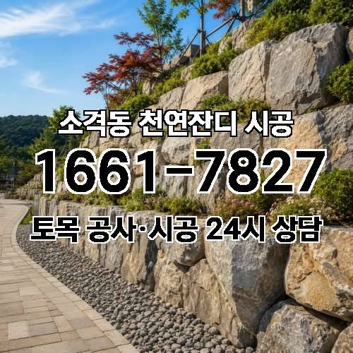 게시판 이미지 3164