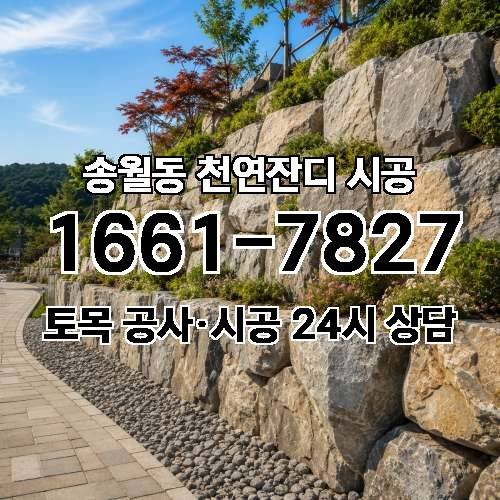 게시판 이미지 3165