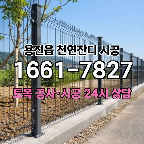 게시판 이미지 4123