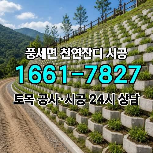게시판 이미지 4616