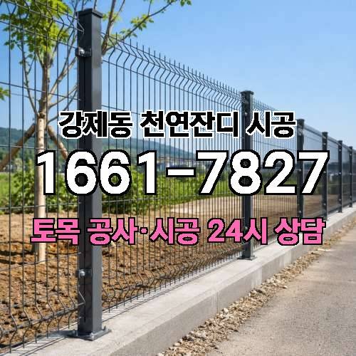 게시판 이미지 4732