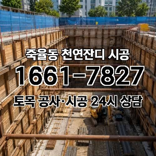 게시판 이미지 649