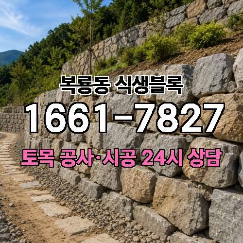 게시판 이미지 1882