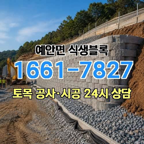게시판 이미지 1963