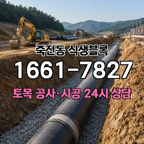 게시판 이미지 2430