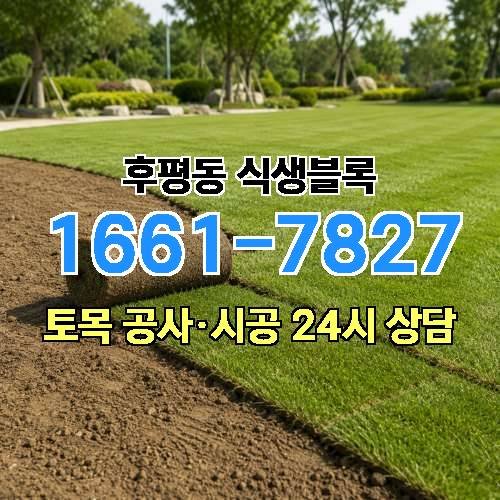 게시판 이미지 256
