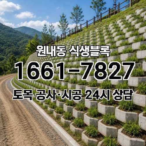 게시판 이미지 2720