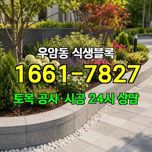 게시판 이미지 2811