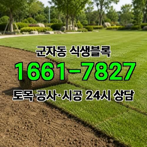 게시판 이미지 2942