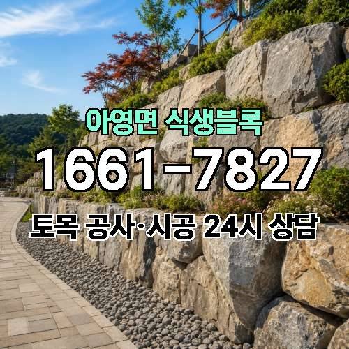 게시판 이미지 4064