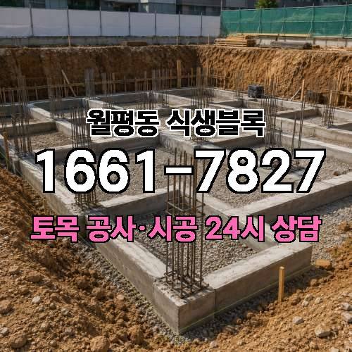 게시판 이미지 4305