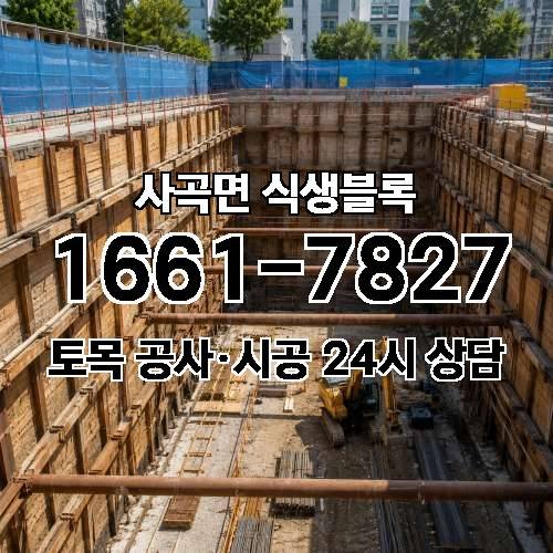 게시판 이미지 4381