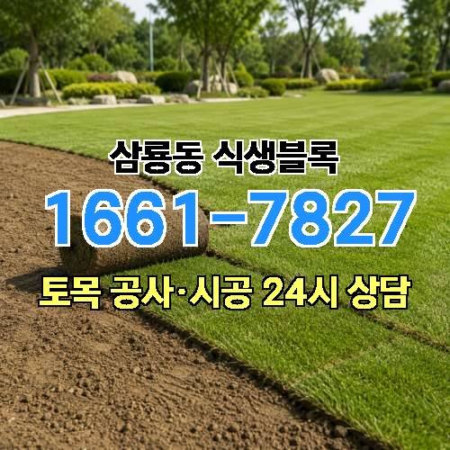 게시판 이미지 4601
