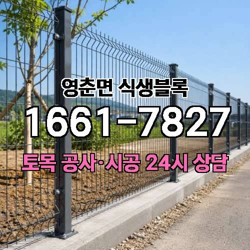 게시판 이미지 4685