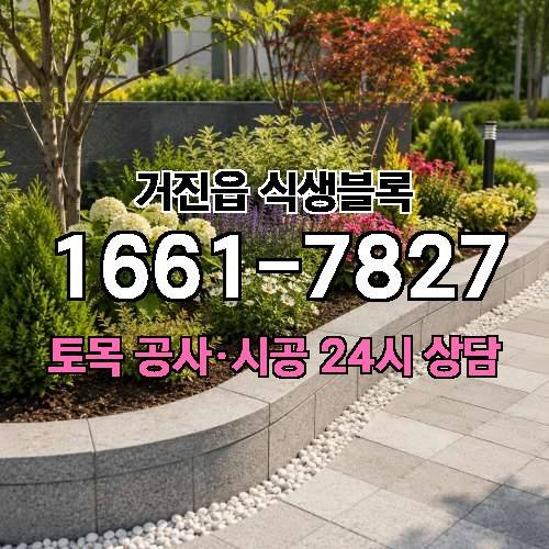게시판 이미지 52