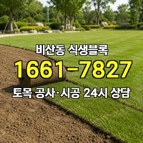 게시판 이미지 736