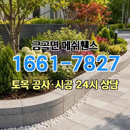 게시판 이미지 1323