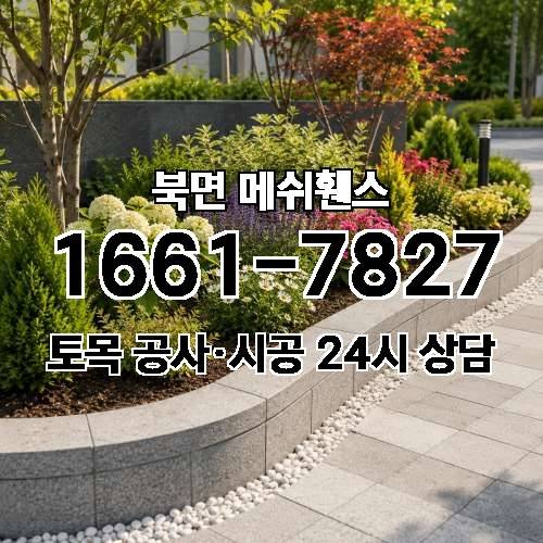 게시판 이미지 2081
