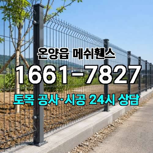 게시판 이미지 3347