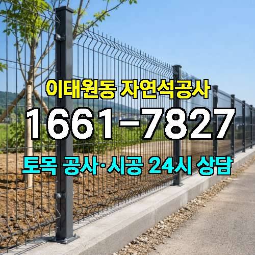 게시판 이미지 3115