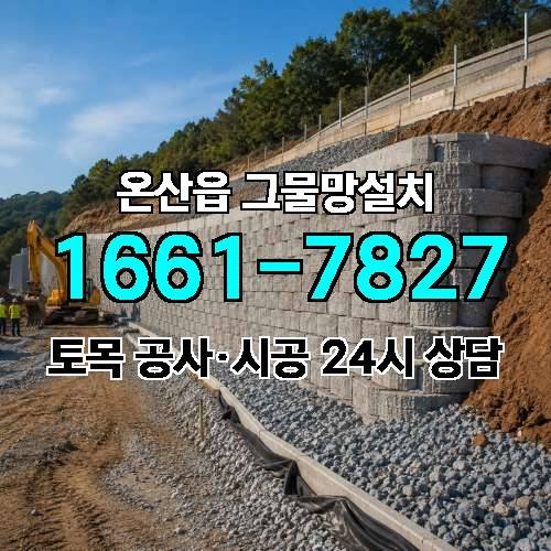 게시판 이미지 3346