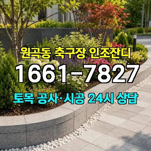 게시판 이미지 666
