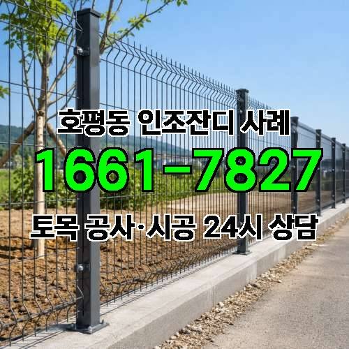 게시판 이미지 476