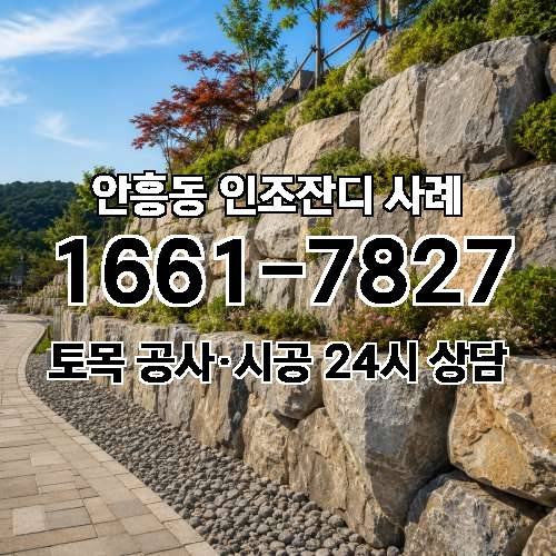 게시판 이미지 487