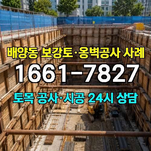 게시판 이미지 1077