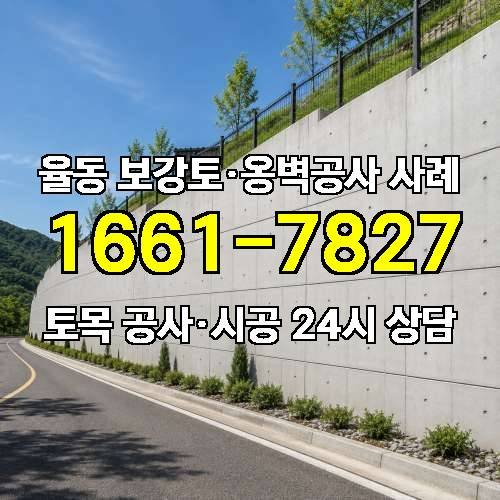 게시판 이미지 1729