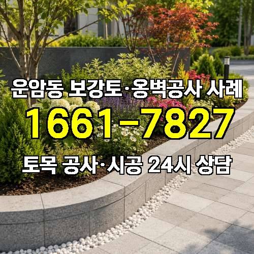 게시판 이미지 2362
