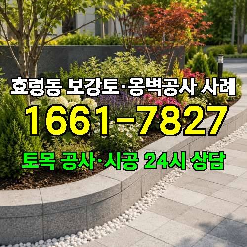 게시판 이미지 2376