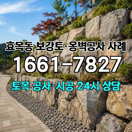 게시판 이미지 2490