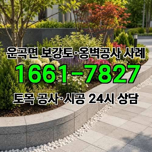게시판 이미지 4638