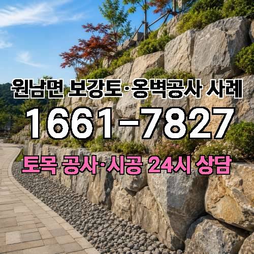 게시판 이미지 4729