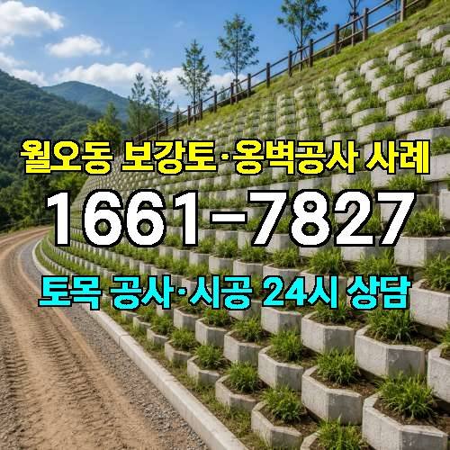 게시판 이미지 4801